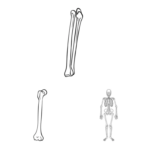 Desenho vetorial da medicina e símbolo da clínica. Conjunto de medicina e ilustração do vetor de estoque médico . — Vetor de Stock