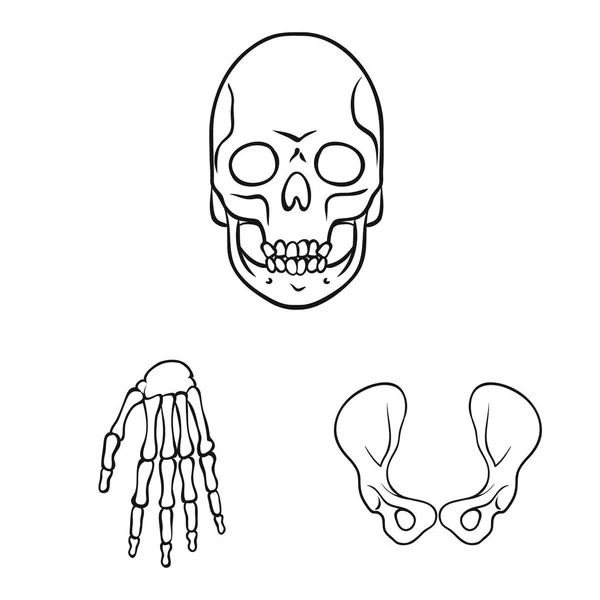 Diseño vectorial del icono de la medicina y la clínica. Conjunto de medicina e ilustración de vector de stock médico . — Vector de stock