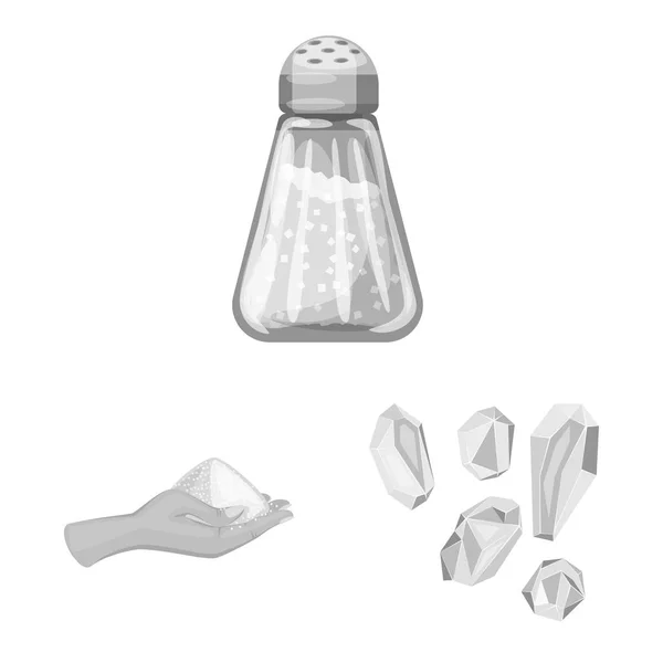 Ilustración vectorial del símbolo de la sal y la comida. Conjunto de sal y mineral símbolo de reserva para la web . — Vector de stock
