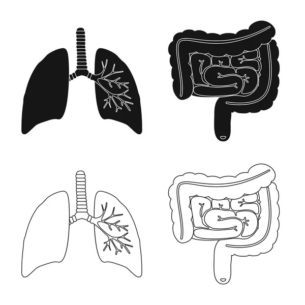 Ilustracja wektorowa biologii i symbol naukowy. Zestaw z biologii i laboratorium wektor ikona na magazynie. — Wektor stockowy