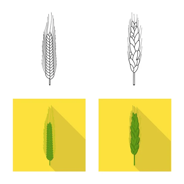 Illustration vectorielle de l'icône agricole et agricole. Ensemble d'illustration vectorielle de l'agriculture et du matériel végétal . — Image vectorielle