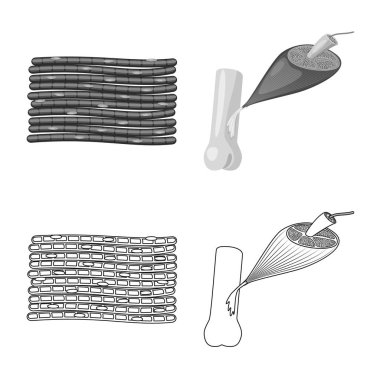 Lif ve kas işareti vektör tasarımı. Hisse senedi için lif ve vücut vektör simge topluluğu.