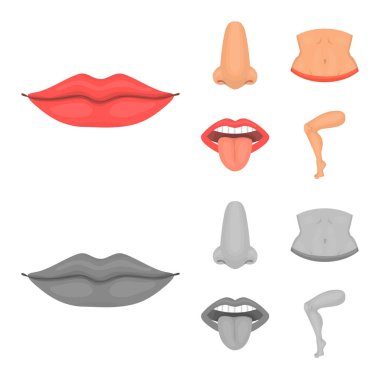 Vücut ve bölümü simge vektör tasarımı. Vücut ve anatomi hisse senedi vektör çizim topluluğu.