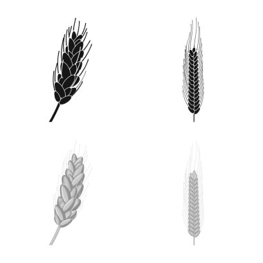 Tarım ve tarım simge vektör tasarımı. Tarım ve bitki hisse senedi vektör çizim topluluğu.