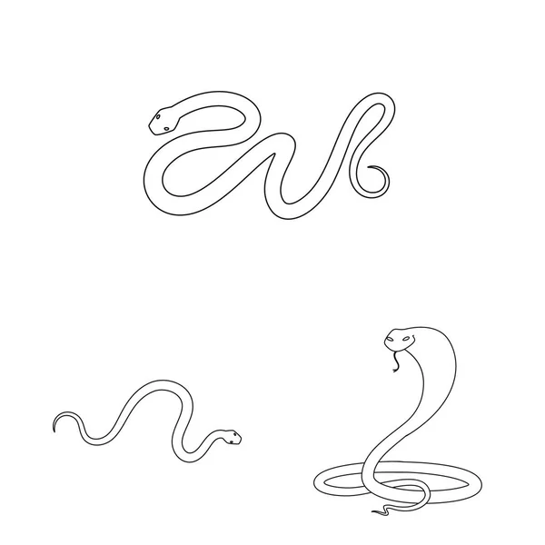 Zehirli ve kötü Logo vektör Illustration. Web için zehir ve bite stok sembolü seti. — Stok Vektör