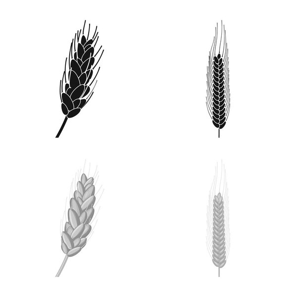 Vector design of agriculture and farming icon. Collection of agriculture and plant stock vector illustration.