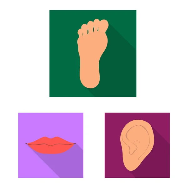 Illustration vectorielle du logo du corps et de la pièce. Ensemble d'icône vectorielle de corps et d'anatomie pour stock . — Image vectorielle