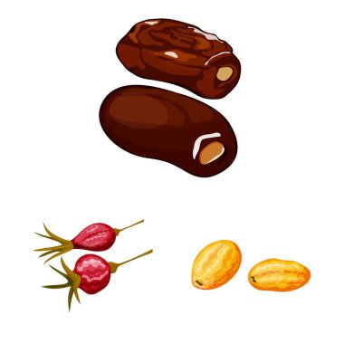 Meyve ve kurutulmuş simge izole nesne. Meyve ve gıda stok vektör çizim koleksiyonu.
