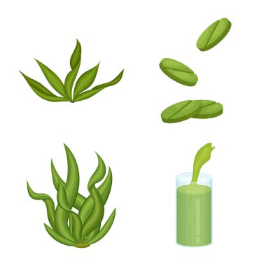 Spirulina ve deniz yosunu sembolünün izole nesne. Spirulina ve Vegan stok vektör çizim koleksiyonu.