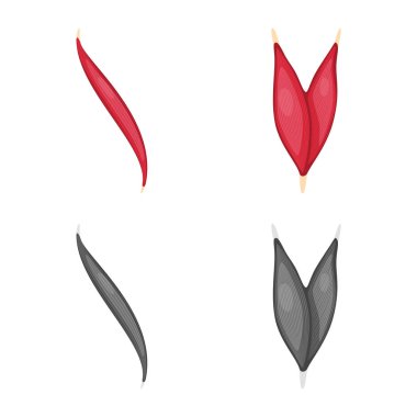 Lif ve kas sembolü yalıtılmış nesne. Lif ve vücut hisse senedi vektör çizim topluluğu.