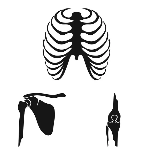 Diseño vectorial de la biología y el logotipo médico. Conjunto de símbolo de stock de biología y esqueleto para web . — Vector de stock