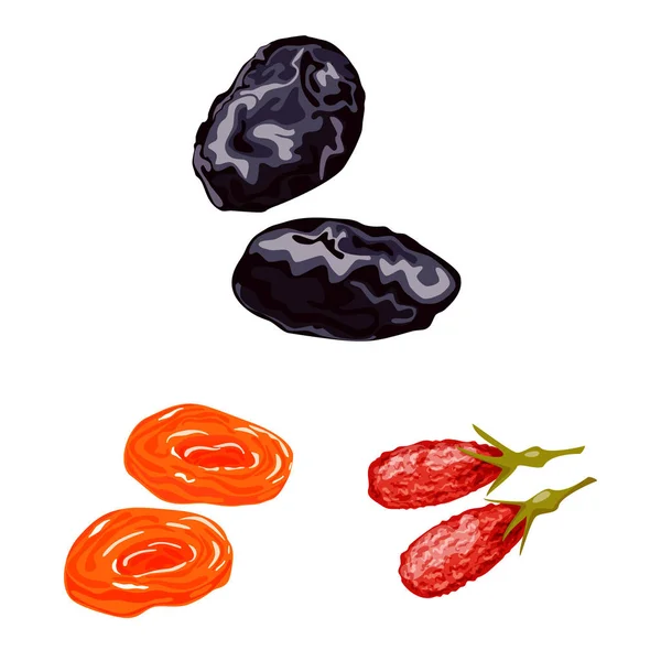 Objeto aislado de fruta y logotipo seco. Conjunto de ilustración de vectores de frutas y alimentos . — Vector de stock