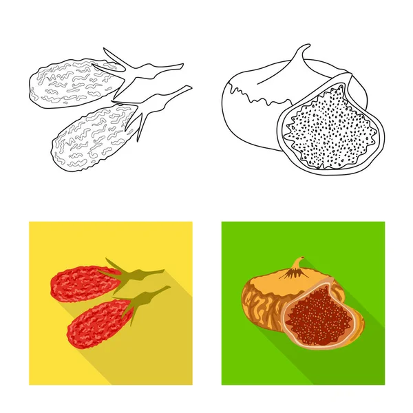 Objeto aislado de alimento y símbolo crudo. Colección de alimentos y naturaleza vector de stock ilustración . — Vector de stock