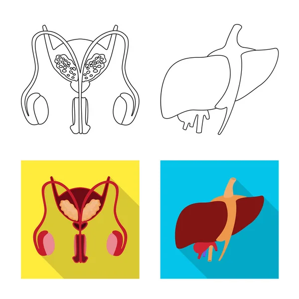 Isolerade objekt av biologi och vetenskapliga symbol. Samling av biologi och laboratorium aktiesymbol för webben. — Stock vektor