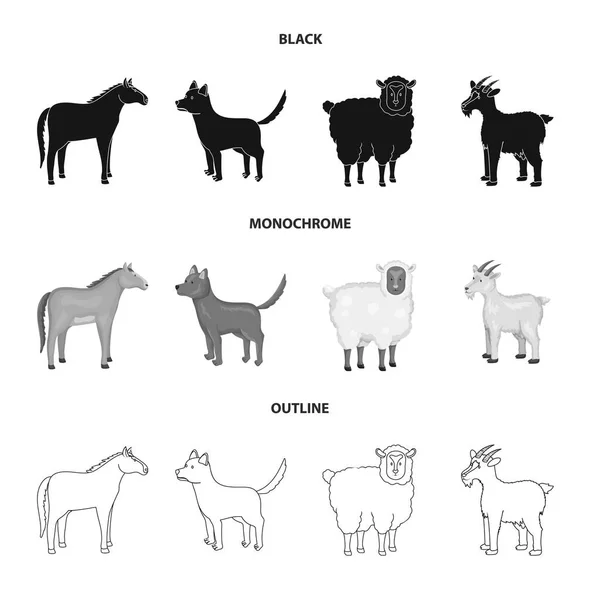 Ilustración vectorial del icono de la cría y la cocina. Conjunto de reproducción y símbolo de stock orgánico para web . — Vector de stock