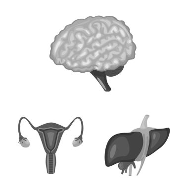 İç ve tıbbi tabelayı vektör tasarımı. Stok iç ve sağlık vektör simgesi koleksiyonu.