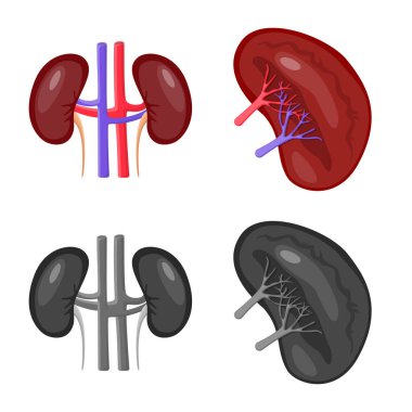 Biyoloji ve bilimsel işareti yalıtılmış nesne. Web için biyoloji ve laboratuvar hisse senedi simgesi kümesi.