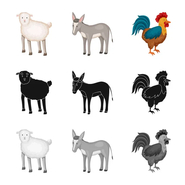 Vector design of breeding and kitchen symbol. Collection of breeding and organic vector icon for stock. — Stock Vector