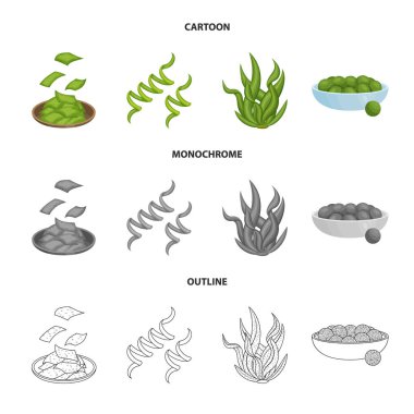 Protein ve deniz simge vektör Illustration. Protein ve web için doğal hisse senedi simgesi toplama.