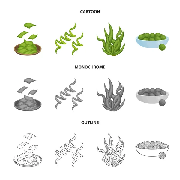 Vektorové ilustrace ikony bílkovin a moře. Bílkovin a přírodní burzovní symbol pro web. — Stockový vektor