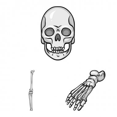 Biyoloji ve tıbbi sembolü vektör Illustration. Web için biyoloji ve iskelet stok sembolü koleksiyonu.