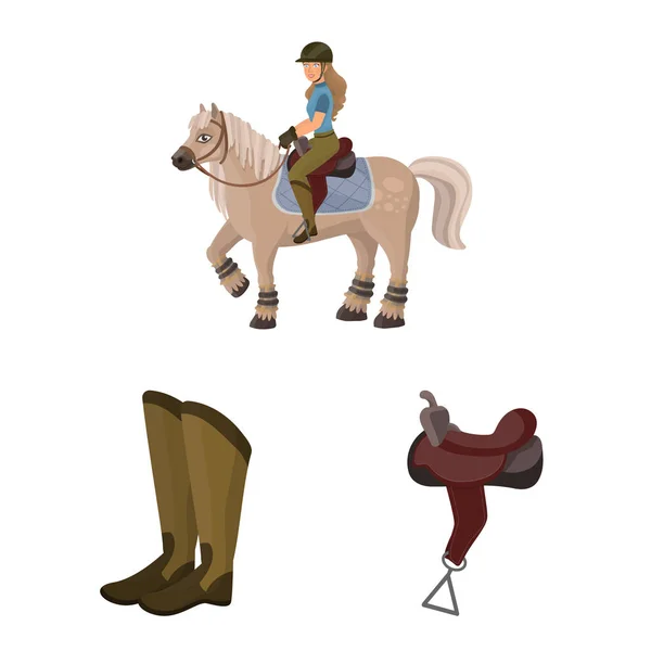 Objeto aislado de caballo y signo ecuestre. Colección de caballo y caballo símbolo de reserva para la web . — Archivo Imágenes Vectoriales