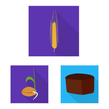 Buğday ve Mısır sembolü vektör Illustration. Buğday ve hasat stok vektör çizim seti.