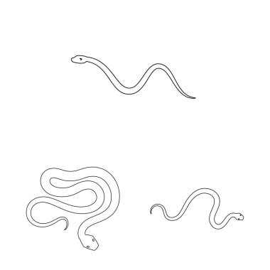 Zehir ve kötü simgesi yalıtılmış nesne. Zehir kümesi ve hisse senedi için ısırık vektör simgesi.