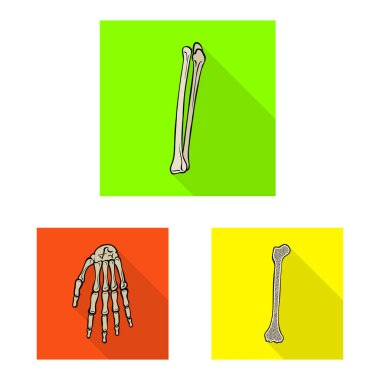 Kemik ve iskelet simgesinin vektör çizimi. Stok için kemik ve insan vektör simgesi koleksiyonu.