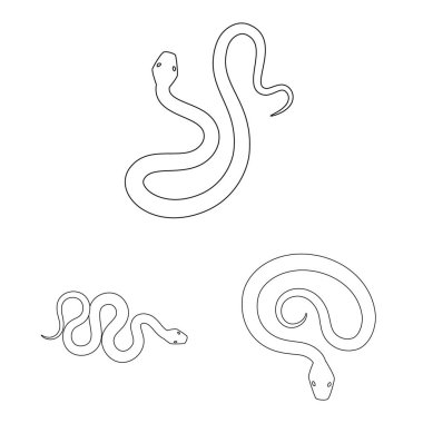 Zehir ve kötü logo vektör tasarımı. Zehir ve ısırık koleksiyonu stok web simgesi.