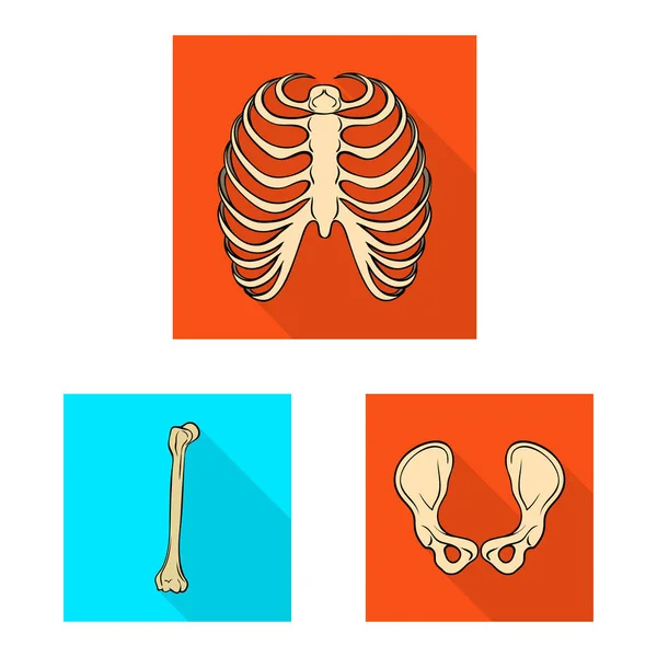 Isolerat objekt av ben och skelett logotyp. Samling av ben och mänsklig vektor ikon för lager. — Stock vektor