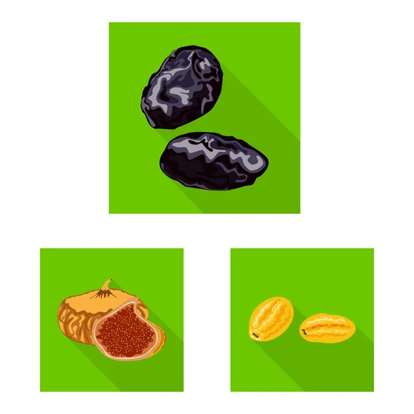 Vector design of fruit and dried icon. Set of fruit and food vector icon for stock. — Stock Vector