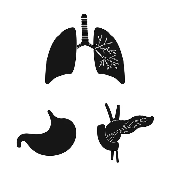 Objeto isolado de pesquisa e logotipo do laboratório. Coleta de pesquisa e ilustração vetorial de estoque de órgãos . — Vetor de Stock