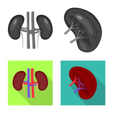 Biyoloji ve bilimsel simge yalıtılmış nesne. Hisse senedi için biyoloji ve laboratuvar vektör simge kümesi.