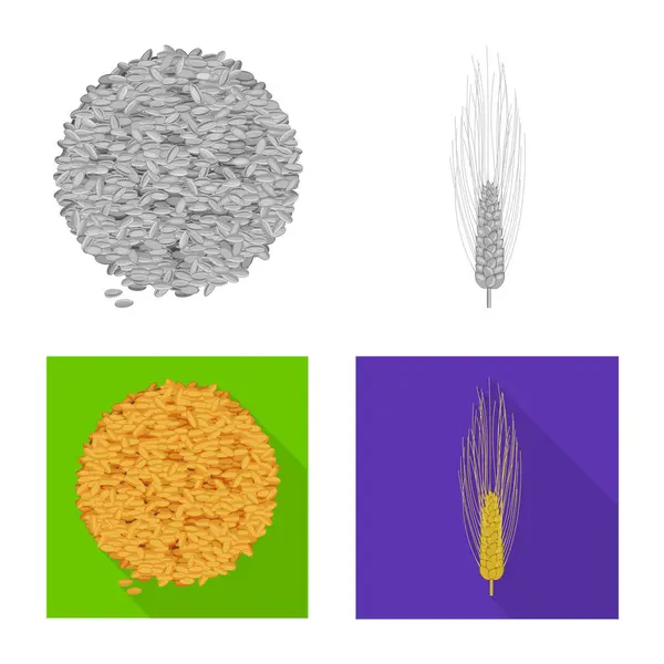 Vektor design av jordbruk och jordbruk-ikonen. Samling av jordbruk och växt lager vektorillustration. — Stock vektor
