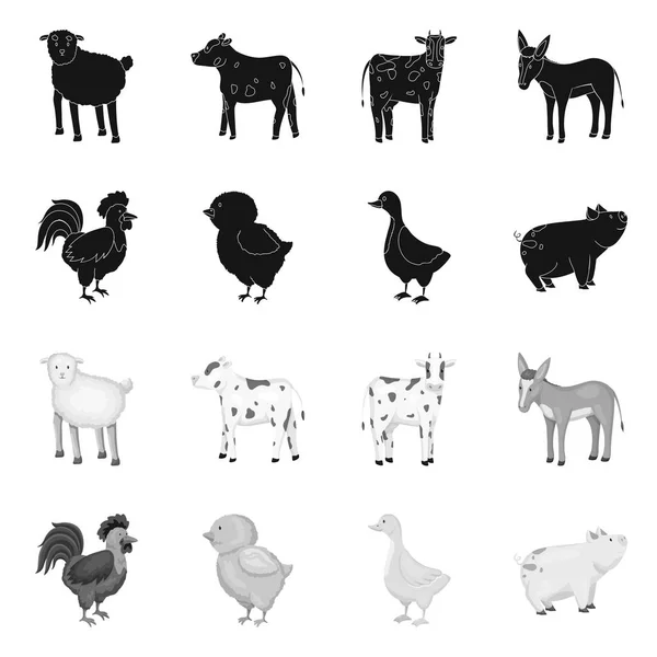 Illustration vectorielle du logo d'élevage et de cuisine. Ensemble d'icônes vectorielles de reproduction et biologiques pour le stock . — Image vectorielle