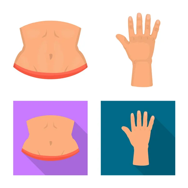 Oggetto isolato di corpo e parte simbolo. Collezione di corpo e anatomia stock symbol per il web . — Vettoriale Stock