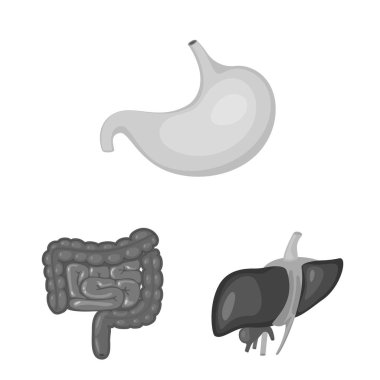 İç ve tıbbi sembolün vektör tasarımı. İç ve sağlık stok vektör illüstrasyon seti.