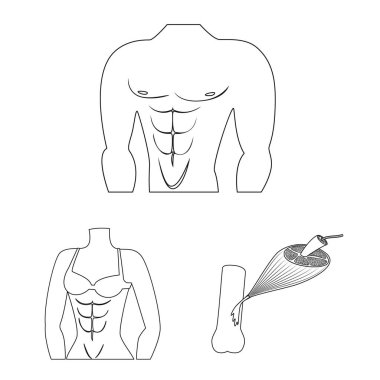 Lif ve kas logo vektör Illustration. Lif ve vücut hisse senedi vektör çizim topluluğu.