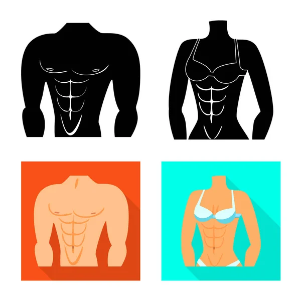 Ilustración vectorial de fibra y logo muscular. Colección de fibra y cuerpo icono vectorial para stock . — Archivo Imágenes Vectoriales