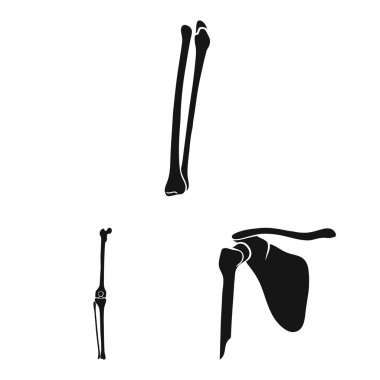 Biyoloji ve tıp logo izole nesne. Biyoloji ve iskelet hisse senedi vektör çizim.