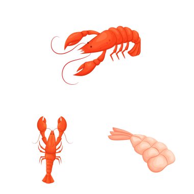 Karides ve yengeç sembolüizole nesne. Stok için karides ve deniz vektör simgesi koleksiyonu.