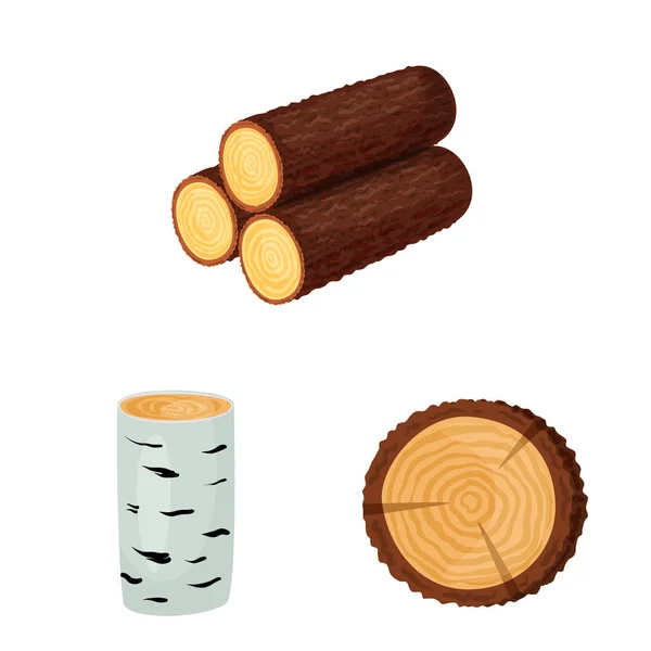 Ізольований об'єкт вивіски та логотип дерева. Колекція вивісок та дерев'яного запасу Векторні ілюстрації . — стоковий вектор