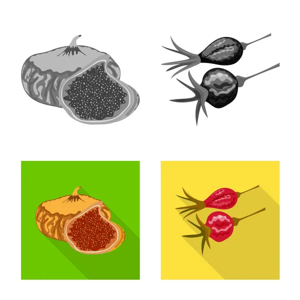 Ilustración vectorial de alimentos y signos crudos. Colección de alimentos y naturaleza vector de stock ilustración . — Vector de stock