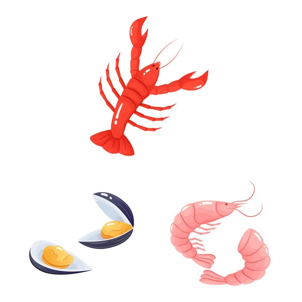 Векторный дизайн пищевой и морской иконы. Набор продуктов питания и здоровый символ запасов для сети . — стоковый вектор
