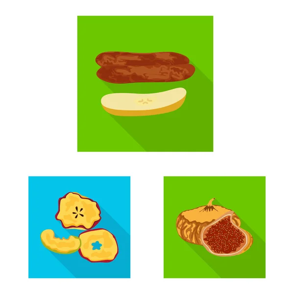 Ilustração vetorial de frutas e ícone seco. Conjunto de fruto e estoque de alimentos ilustração vetorial . — Vetor de Stock