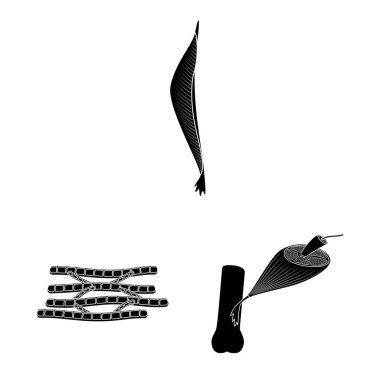 Vektör Illustration insan ve vücut simgesi. Web için insan ve hücreler stok sembolü seti.