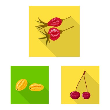 Meyve ve kurutulmuş simge vektör tasarımı. Meyve ve gıda hisse senedi vektör çizim topluluğu.