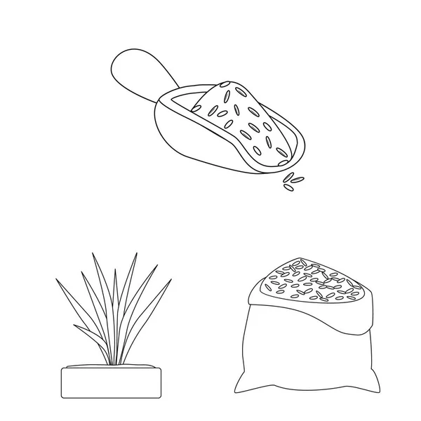 Векторный дизайн диеты и знака приготовления пищи. Набор диетических и органических символов запасов для интернета . — стоковый вектор