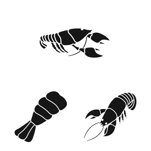 Objet isolé de viande et icône de délicatesse. Collecte d'illustration vectorielle de bouillon de viande et de crabe . — Image vectorielle
